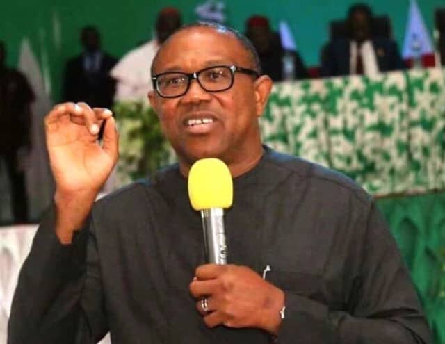 See what mr macaroni said about peter obi and the apc youth candidates 